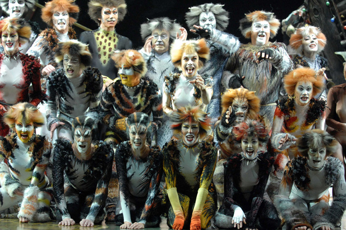 Cats
