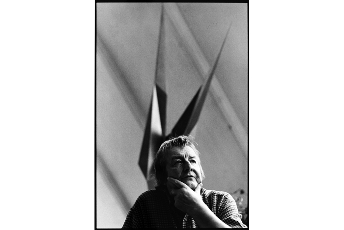 Erich Hauser